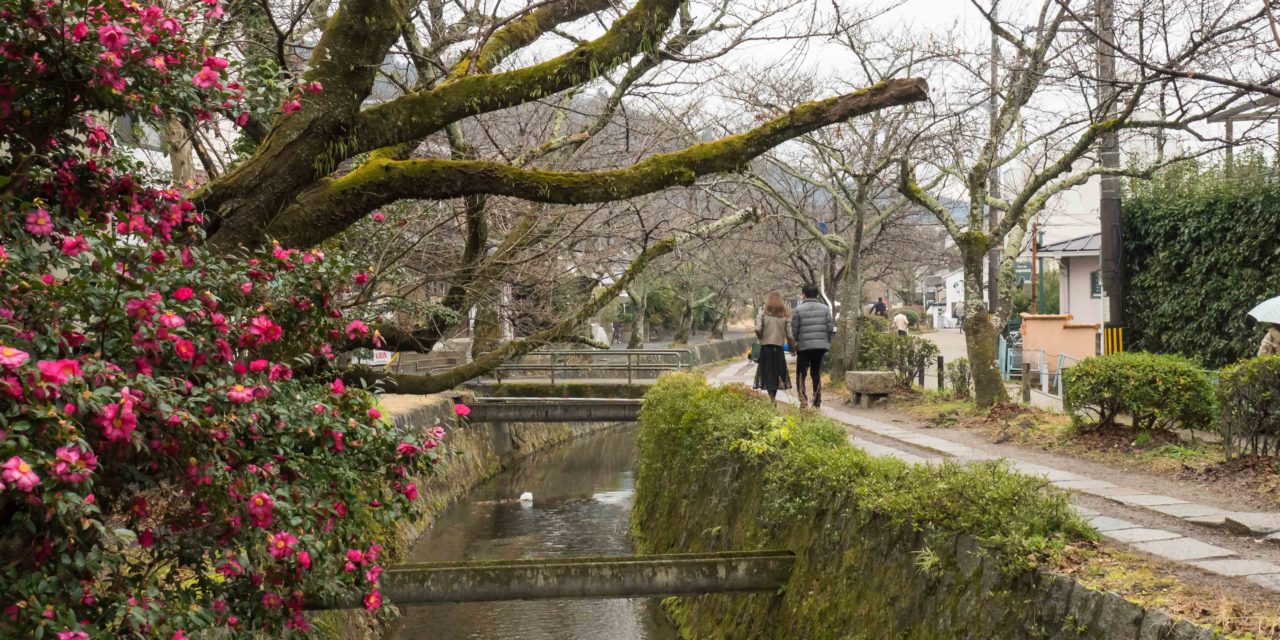 Promenades à Kyoto